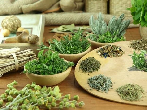 ការព្យាបាលដោយថ្នាំ phytotherapy